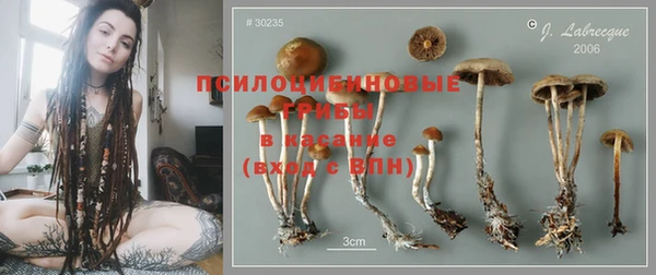 кокс Арсеньев