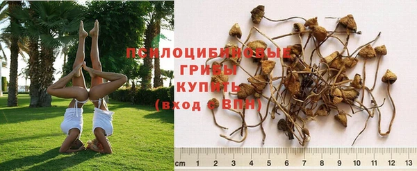 прущая мука Аркадак
